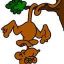 Monkey Hanging